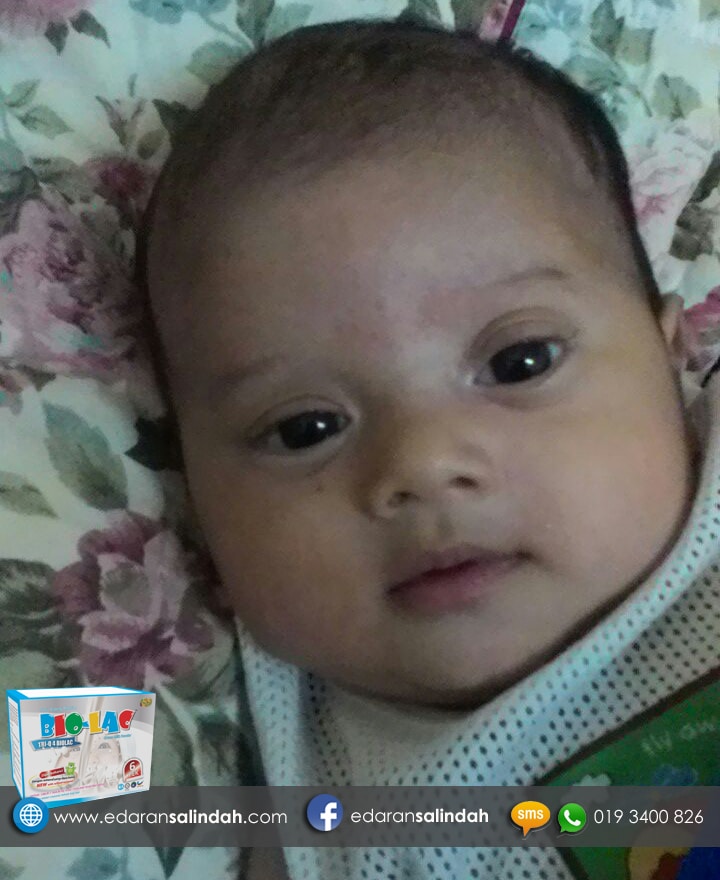 Testimoni Susu Bio-Lac 8 testimoni-susu-bio-lac-pn-sara-edaran-salindah