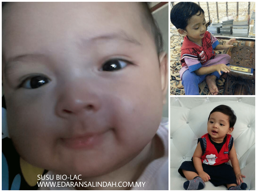 Testimoni Susu Bio-Lac 2